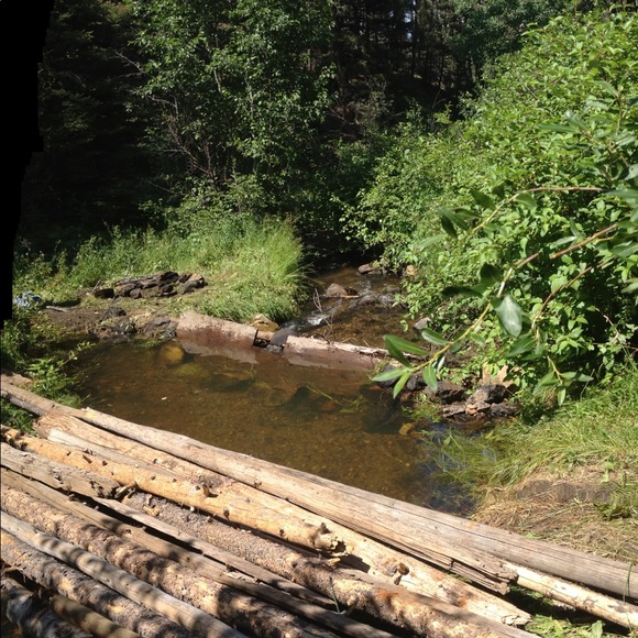 Meet your Posher, Trevor - Picture 1 of 1